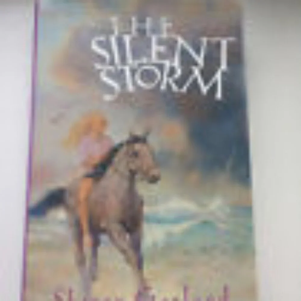 The silent Storm by Sherry Garland 1993 Vintage